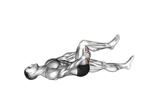 Hamstring Stretch
