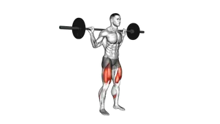 Barbell Quarter Squat