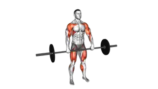 Barbell Hang Clean exercise