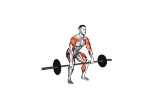 Barbell Hang Clean Below the Knees exercise