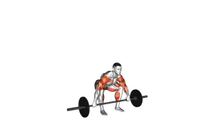 Barbell Hang Snatch exercise