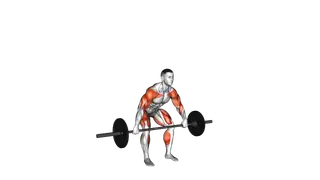 Barbell Hang Snatch Below the Knees exercise