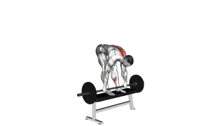 Barbell Stiff Leg Deadlift on Bench exercise