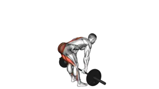Barbell Stiff Legged Deadlift exercise
