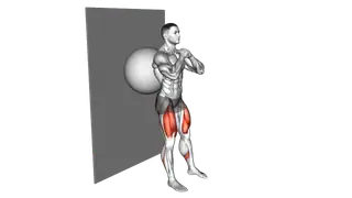 Exercise Ball Wall Squat