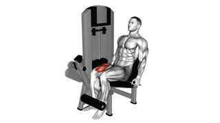 Lever One Leg Extension