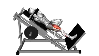 Sled One Leg Hack Squat exercise