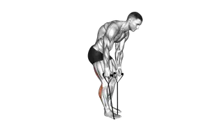 Standing Hamstring and Calf Stretch with Starp