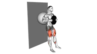 Weighted Exercise Ball Wall Squat