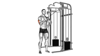 Cable One Arm Side Triceps Pushdown exercise