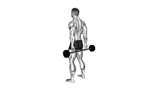 Barbell Behind Back Finger Curl exercise