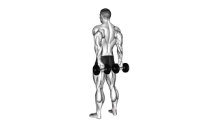 Dumbbell Behind Back Finger Curl exercise
