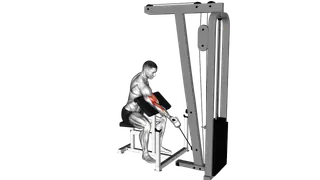 Cable One Arm Preacher Curl exercise