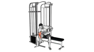 Cable Seated One Arm Concentration Curl exercise