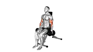 Dumbbell Alternate Seated Hammer Curl exercise