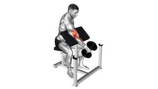 Dumbbell One Arm Hammer Preacher Curl exercise