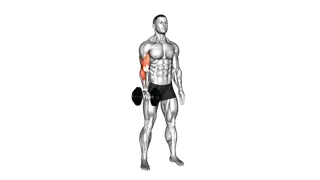 Dumbbell One Arm Standing Curl exercise