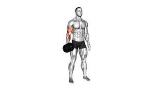 Dumbbell One Arm Standing Hammer Curl