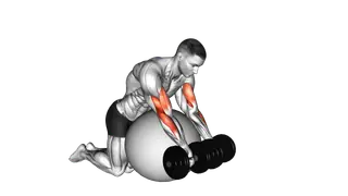 Dumbbell Preacher Curl over Exercise Ball exercise