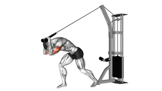 Cable Rope High Pulley Overhead Tricep Extension