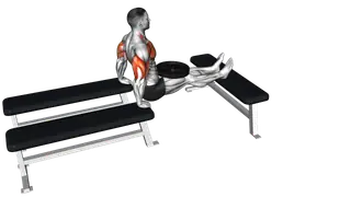 Weighted Three Bench Dips
