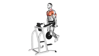 Weighted Tricep Dips