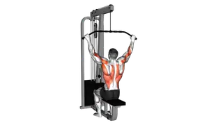 Cable Suspension Back Stretch exercise