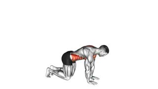 Kneeling Back Rotation Stretch exercise