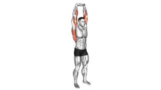 Extension Of Arms In Vertical Stretch exercise