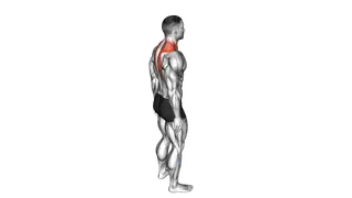 Forward Flexion Neck Stretch exercise