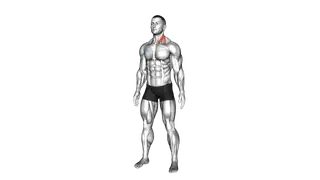 Neck Extensor And Rotational Stretch exercise