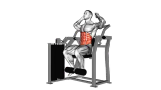 Lever Total Abdominal Crunch