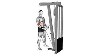 Cable Curl with Multipurpose V bar exercise