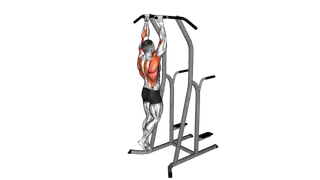 Hammer Grip Pull up on Dip Cage