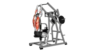 Lever Lateral Pulldown (plate loaded)