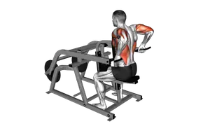 Lever Triceps Dip (plate loaded)