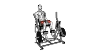 Lever Alternate Leg Extension (plate loaded) exercise