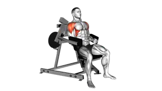 Lever Lateral Raise (plate loaded) exercise