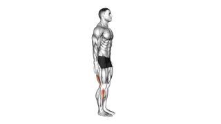 Standing Toe Down Hamstring Stretch