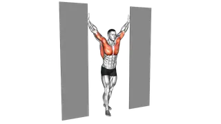 Standing Upright Shoulders Stretch exercise