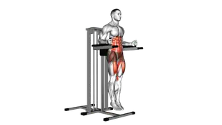Captains chair leg raise exercise