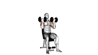 Dumbbell Arnold Press exercise