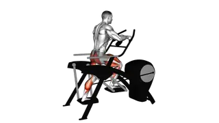 Lever Elliptical Static Walk exercise