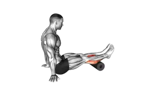 Roll Reverse Crunch