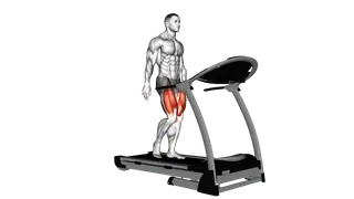 Walking on Treadmill exercise
