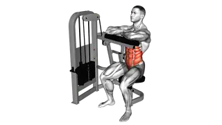 Lever Seated Crunch (hands pad) exercise