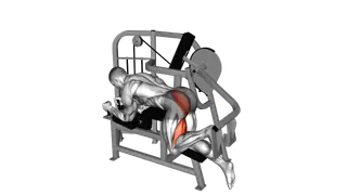 Lever Hip Extension exercise