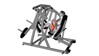 Lever Alternate Leg Press (plate loaded) exercise