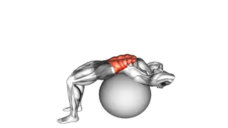 Stability Ball Crunch (Full range hands behind head)