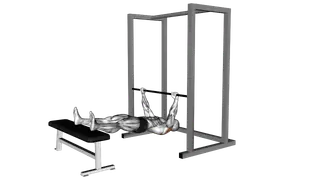 Inverted Row on Bench exercise
